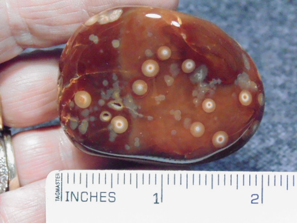 A polished Lake Superior Eye Agate, weighs 83.2 grams