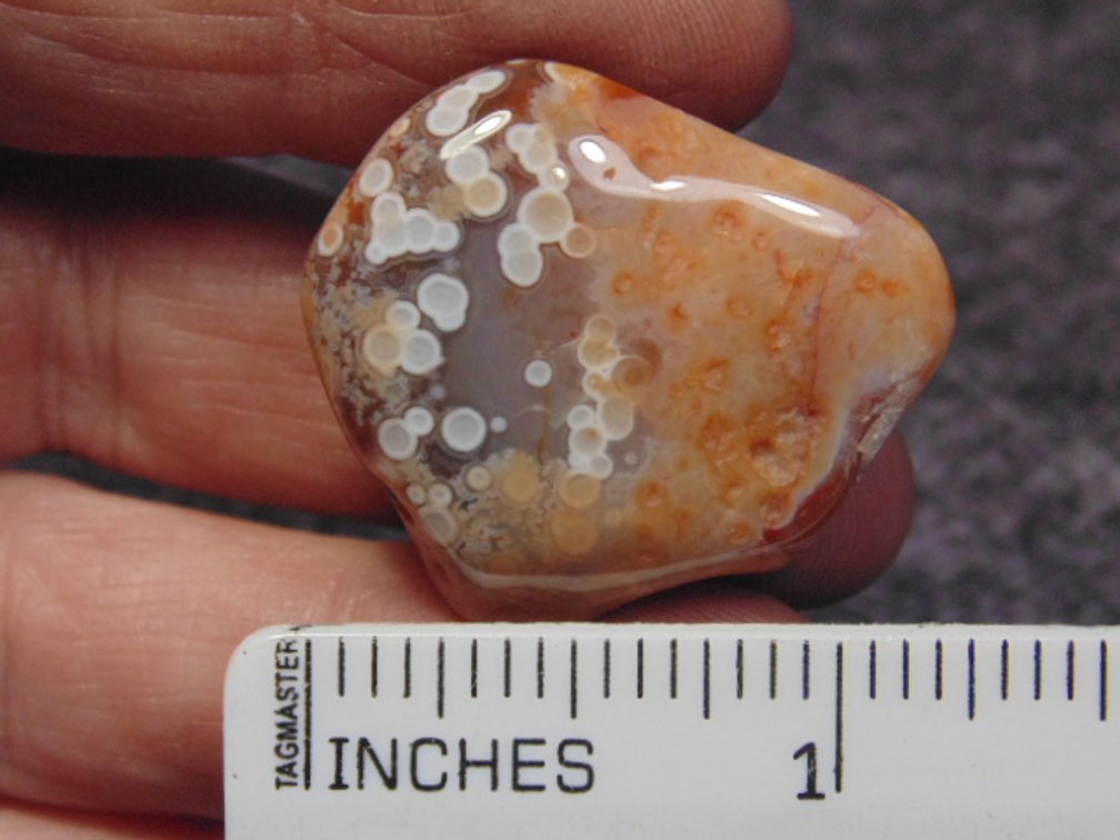 A polished Lake Superior Eye Agate, weighs 15 grams