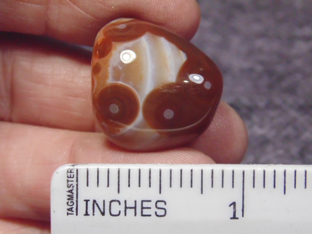 A polished Lake Superior Eye Agate, weighs 8.6 grams