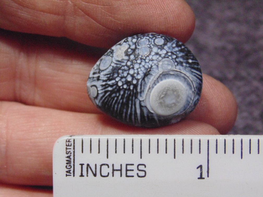 A natural Gobi Eye Agate, weighs 8 grams