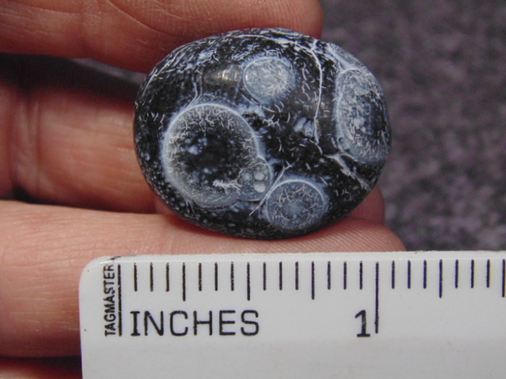 A natural Gobi Eye Agate, weighs 12.4 grams