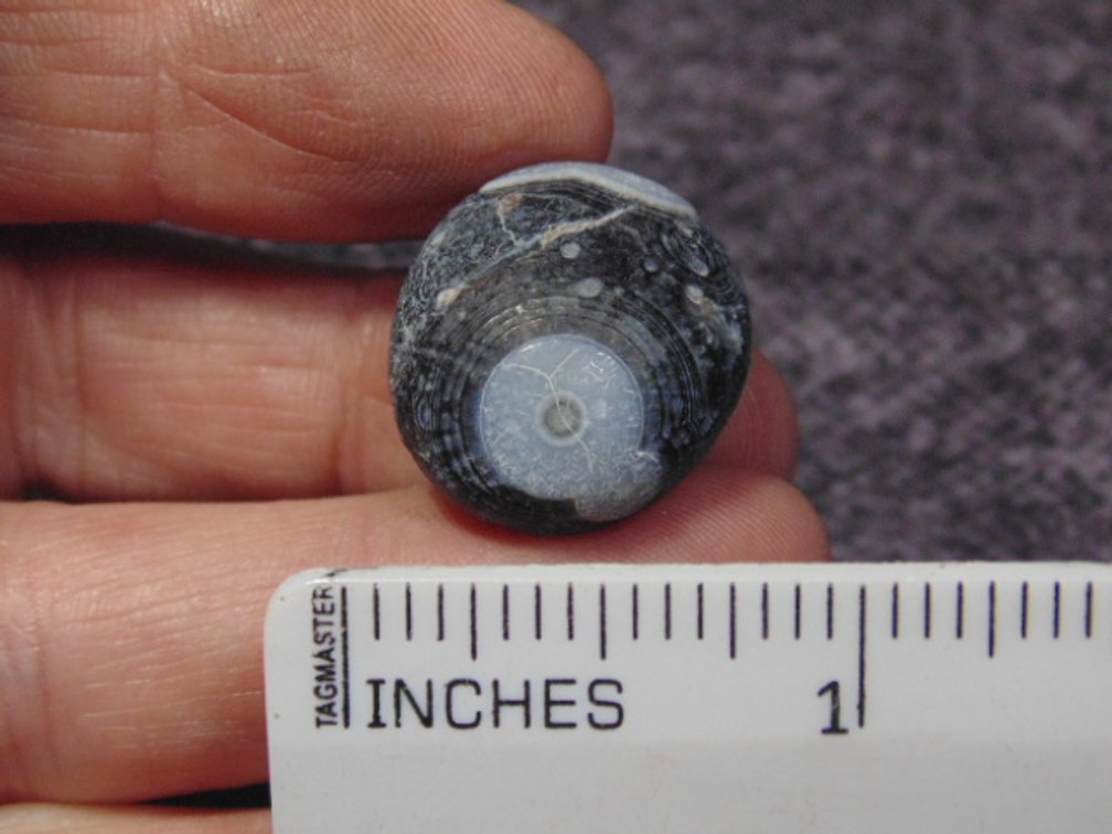 A natural Gobi Eye Agate, weighs 7.4 grams