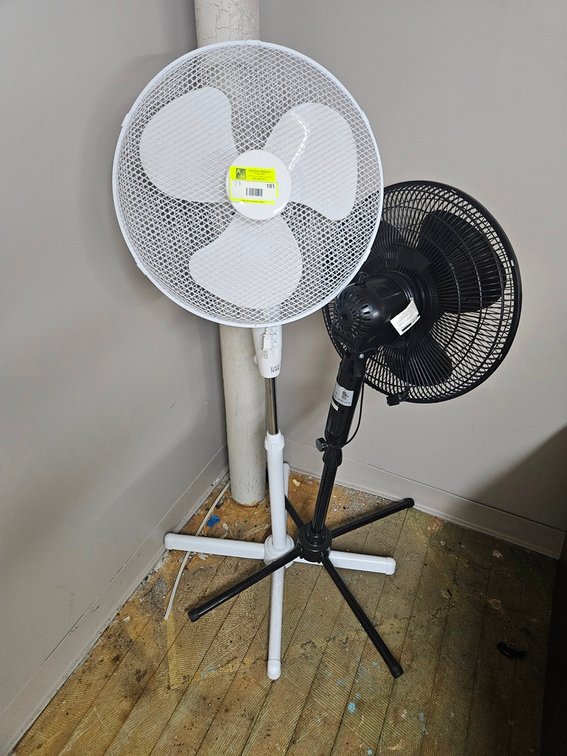 2 Assorted Pedestal Fans