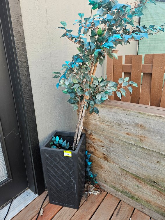 2 Planters, 13.5"x13.5"x26.5"