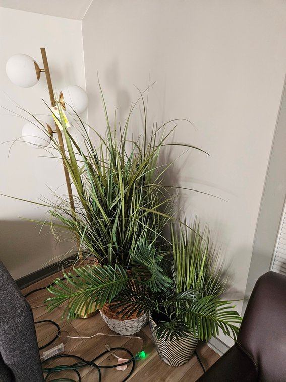 2 Fake Plants, Floor Lamp