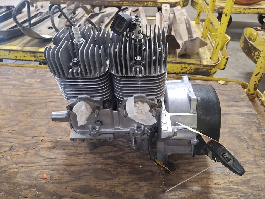 Polaris 295 Colt SS Motor