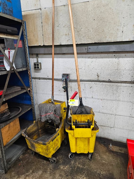2 Mop Buckets with Mops