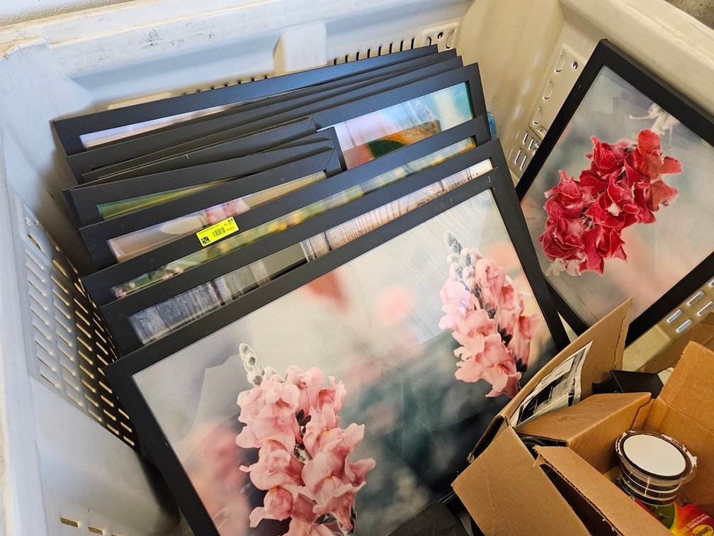 Assorted Framed Pictures, Bin NOT Included