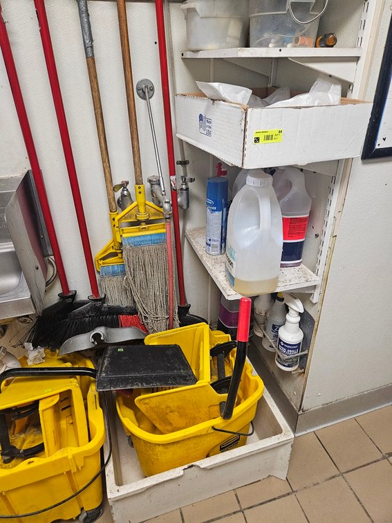 Assorted, 2 Mop Buckets, Mops, Brooms, Cleaning Supplies, More