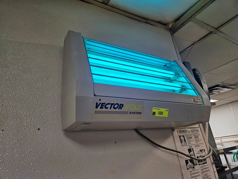 Vector Gold Bug Zapper