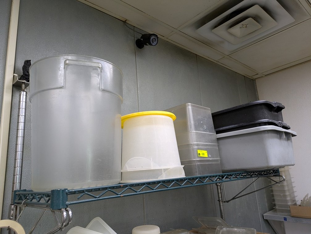 Assorted Poly Bins, Containers