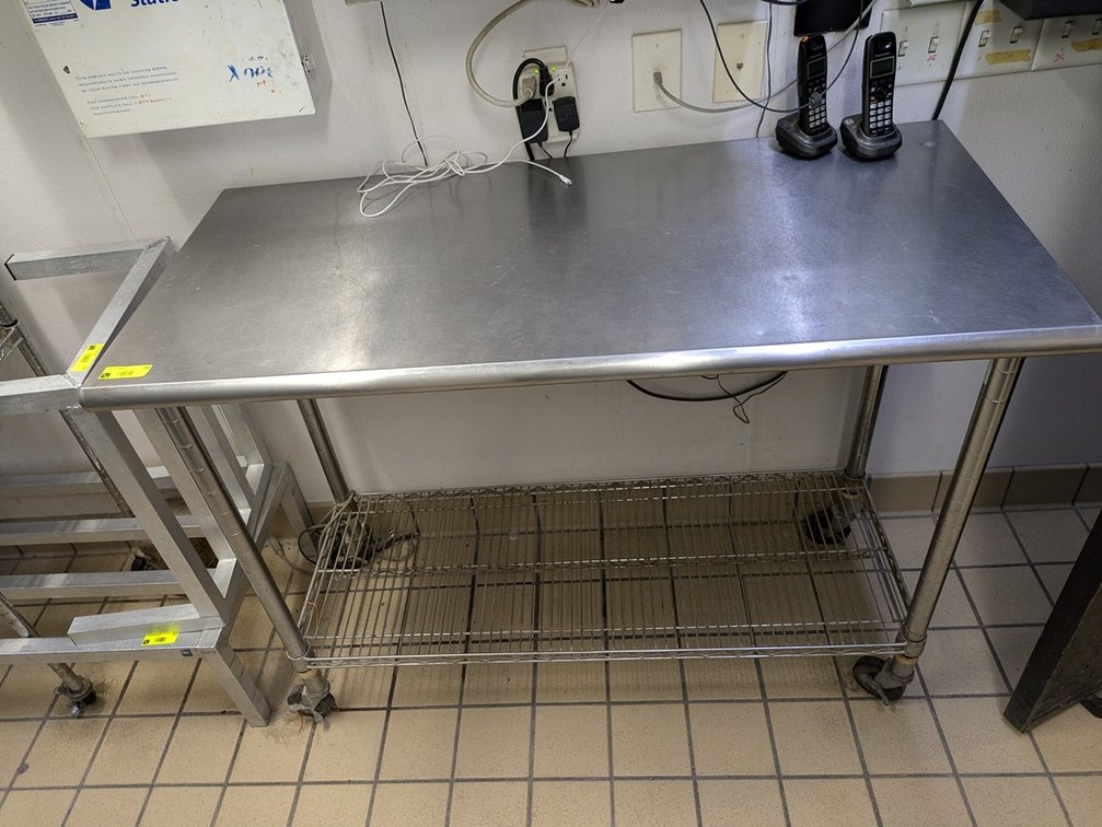 SS Table with Undershelf on Wheels, 50"x24"x39"