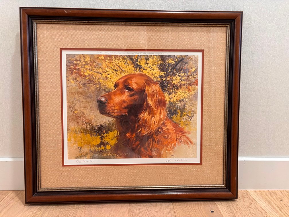 Robert K. Abbett "Irish Setter" Framed Picture, 30/30, 24"x22"