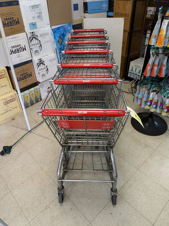 19 Shopping Carts