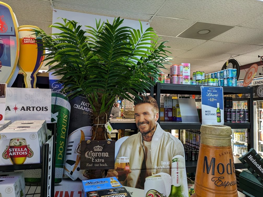 Corona Palm Tree Display, Dos Equis and Stella Signage