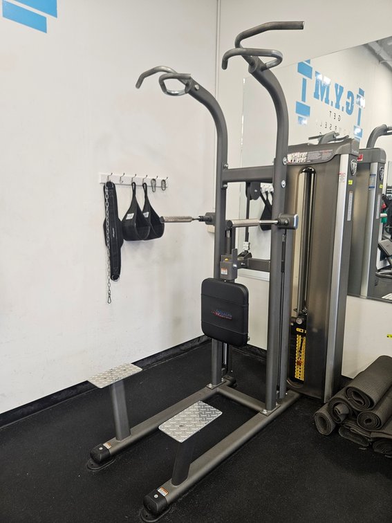 TuffStuff Fitness International Chin-Up/Dip Machine