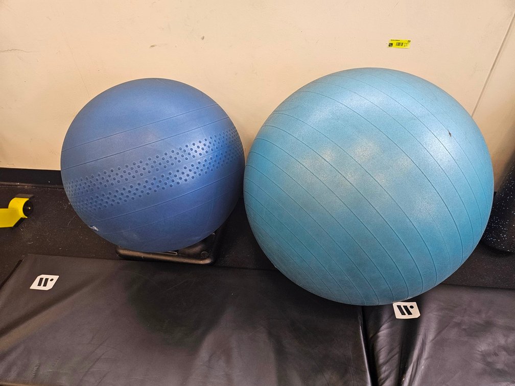 2 Assorted Fitness Balls