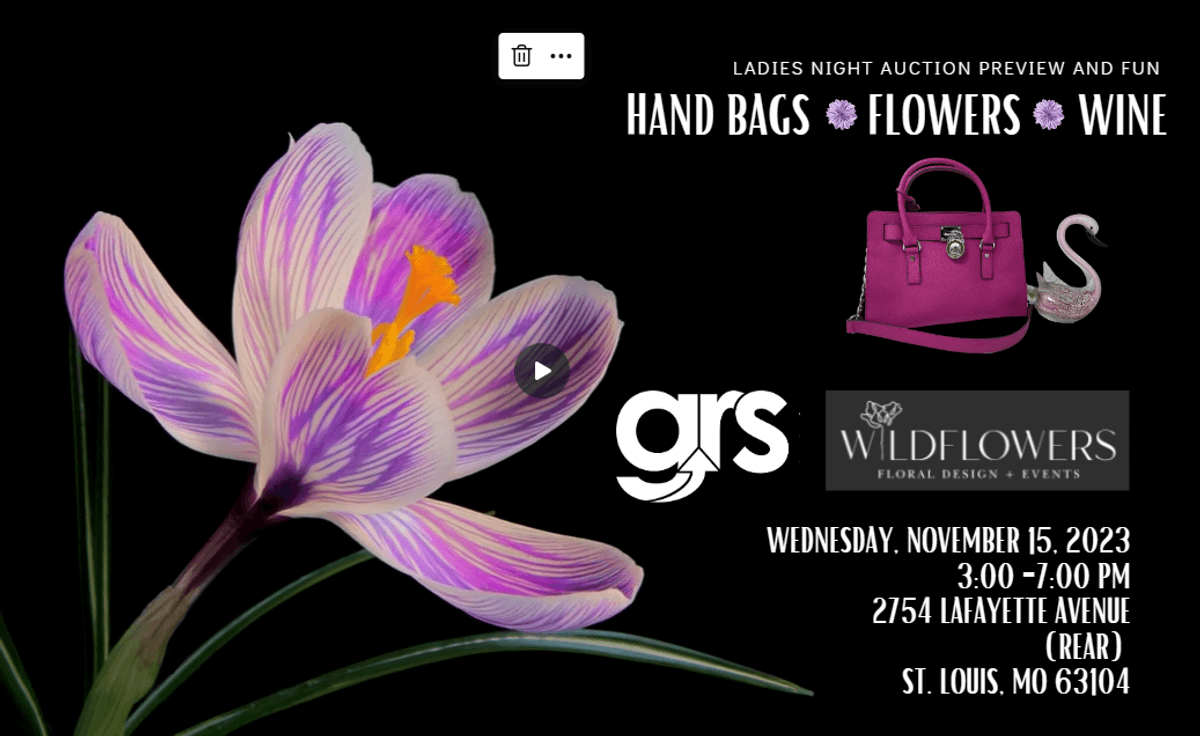 Image for It's in the Bag!