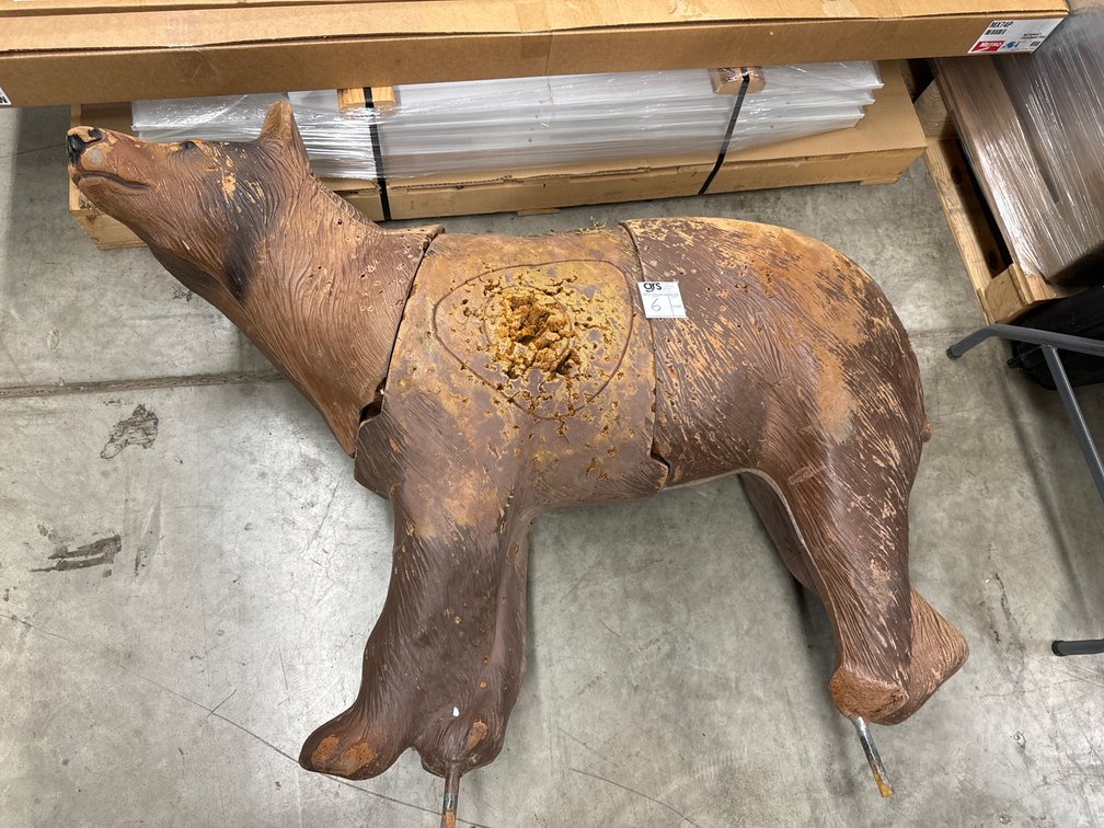 3D Bear Target