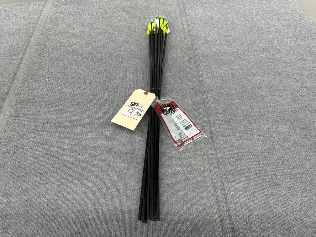 (12) Storm 50/65 Carbon Arrows RPS8-32 with inserts