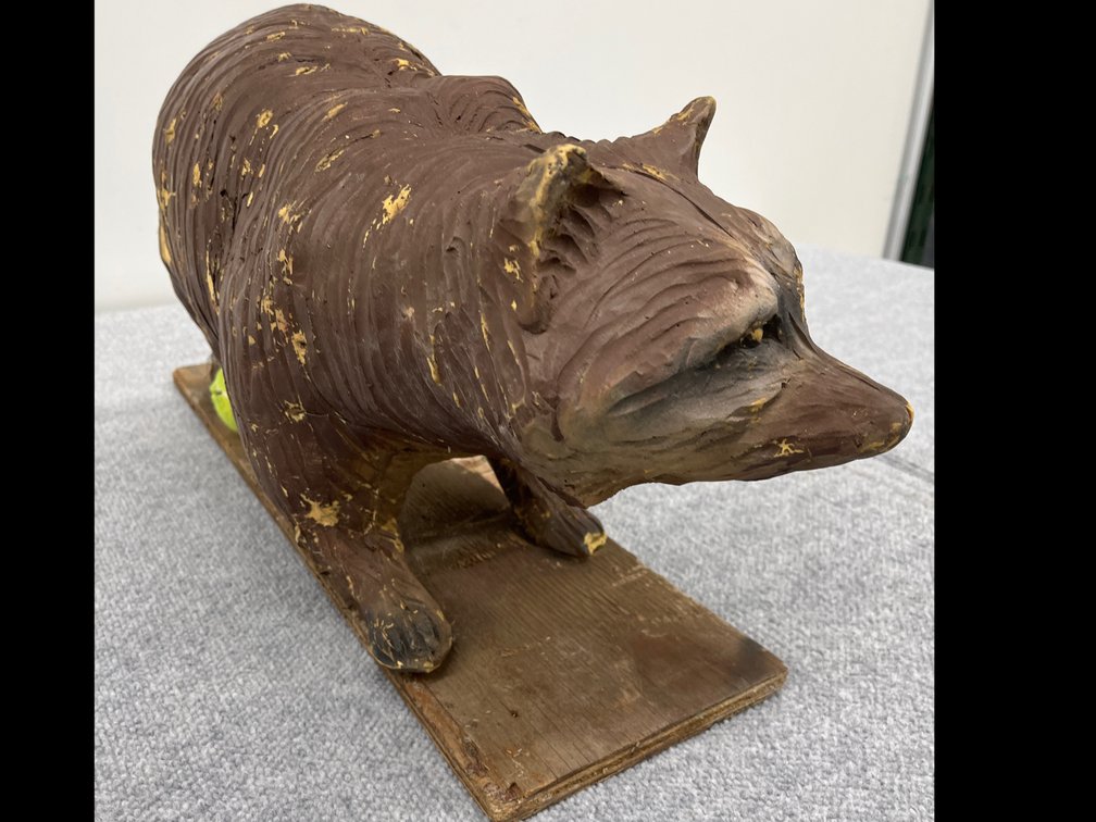 3D Raccoon Target