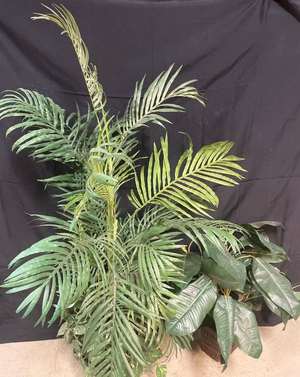 (2) Faux Plants