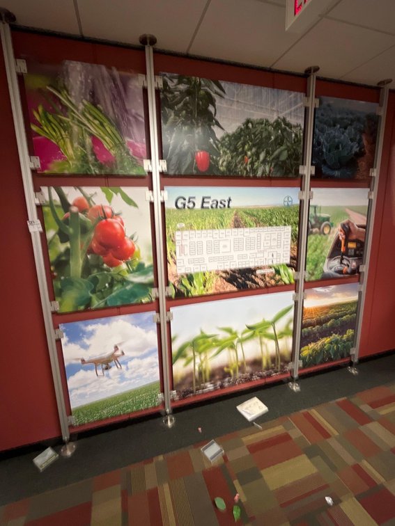 Image for Former Monsanto Office CleanOut