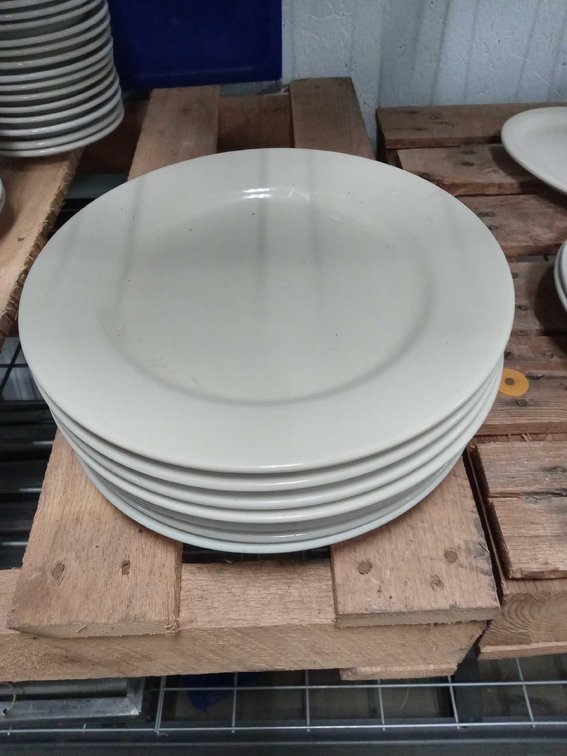 10.5" Plates