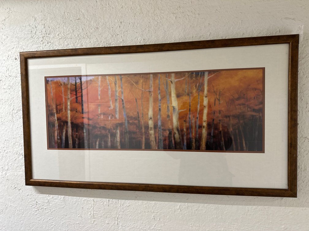 Framed Print