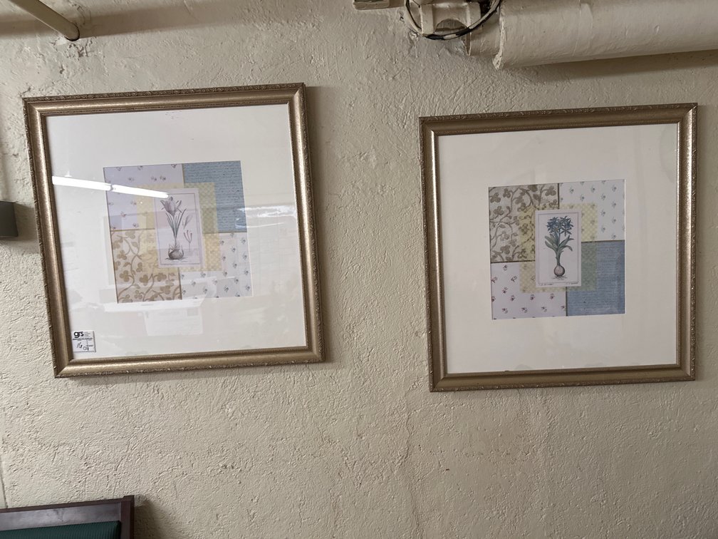 (2) Framed Prints