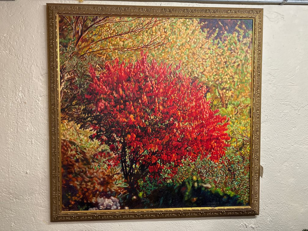 Framed Canvas Print