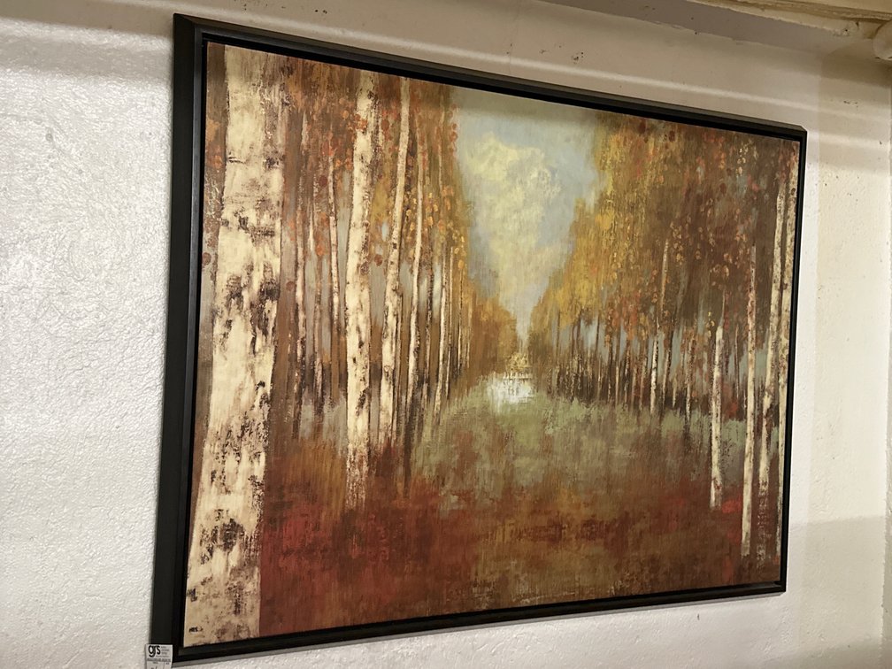 Framed Canvas Print