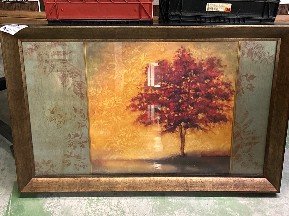 Framed Print