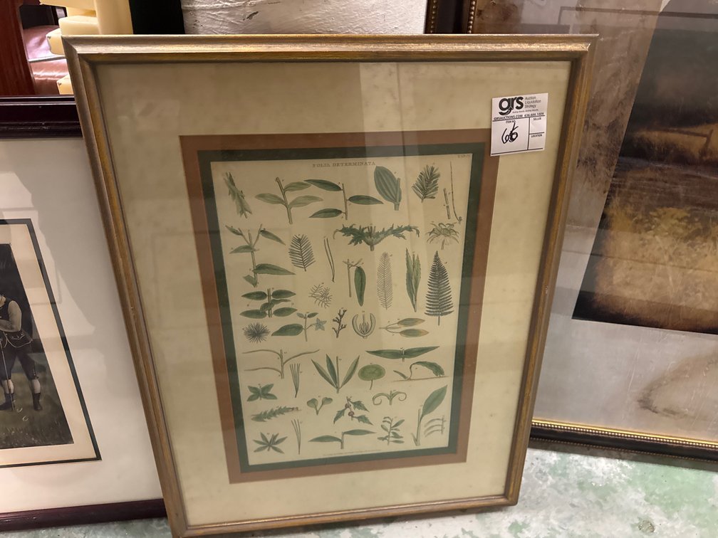 Framed Print Floral