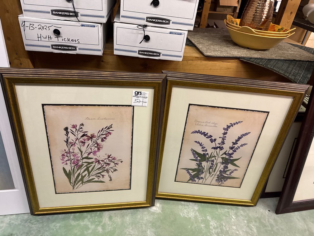 Framed Prints Foral