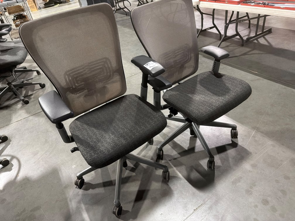 Zody Mesh Back Task Chairs
