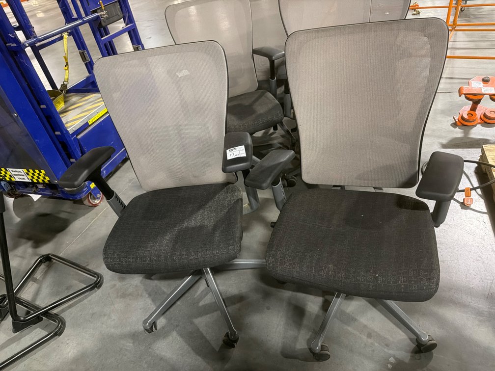 Zody Mesh Back Task Chairs