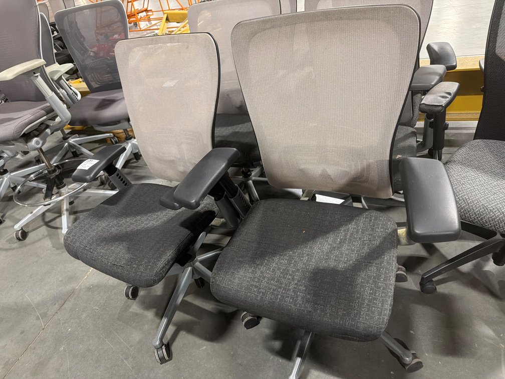 Zody Mesh Back Task Chairs