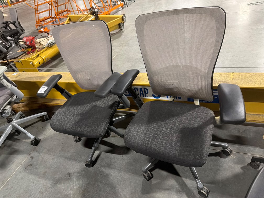 Zody Mesh Back Task Chairs