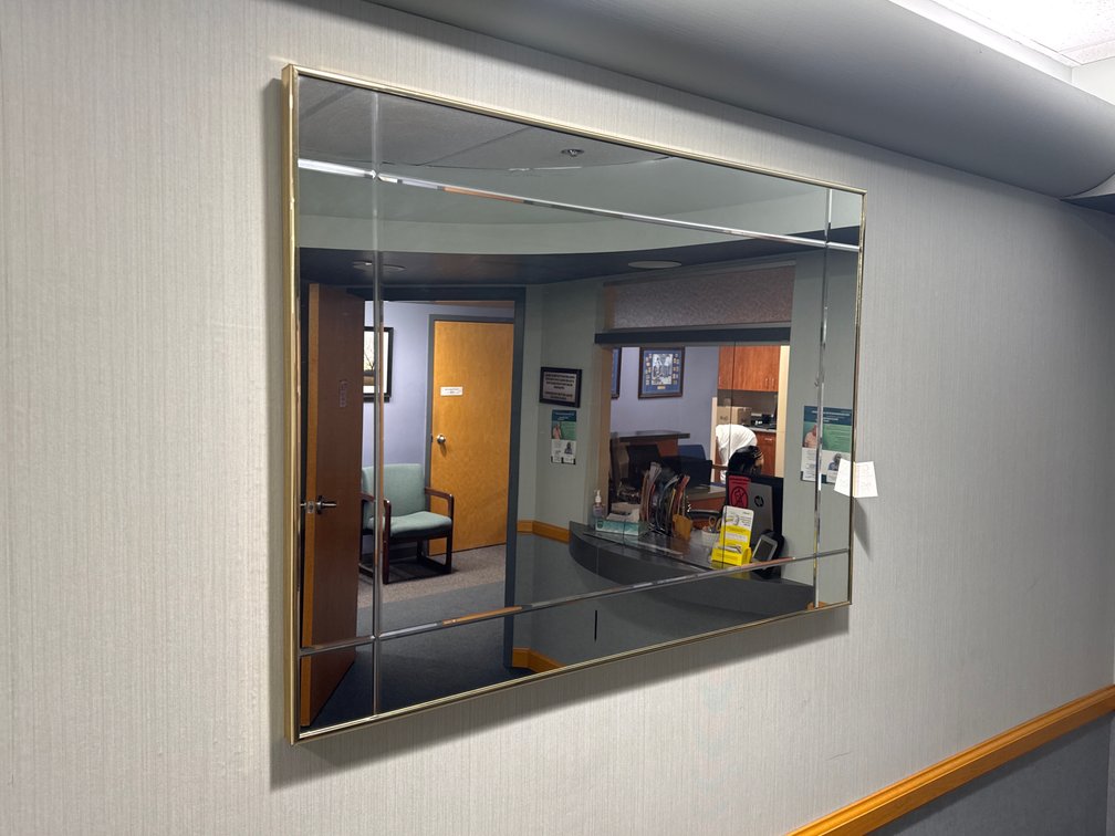 Mirror w/ Brass Trim