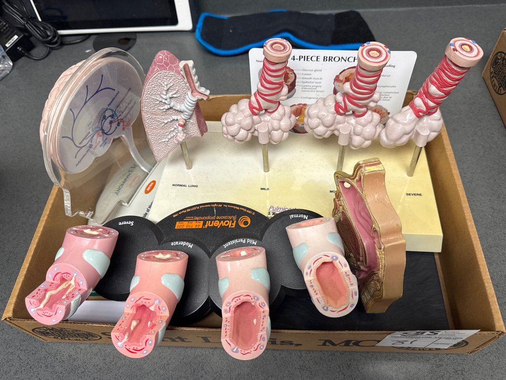 Medical Models