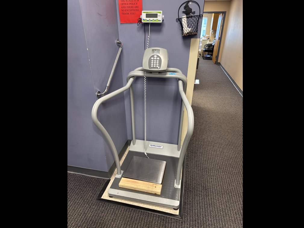 Health-O-Meter Pro Plus Scale