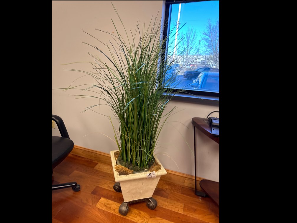 Faux Plant