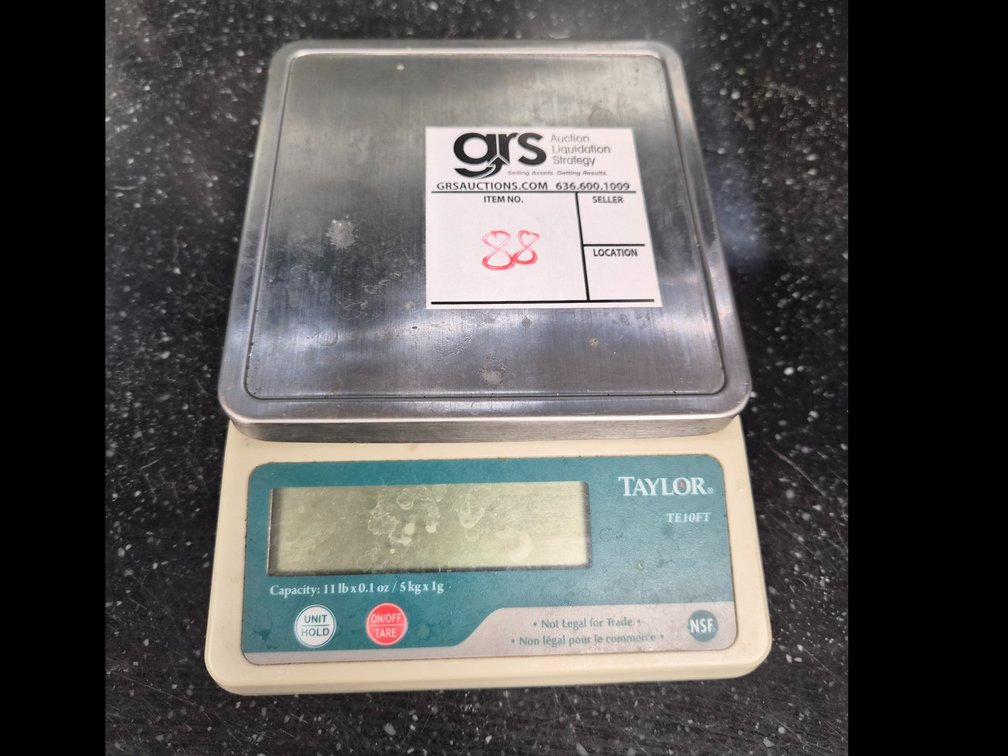 Taylor Digital Scale