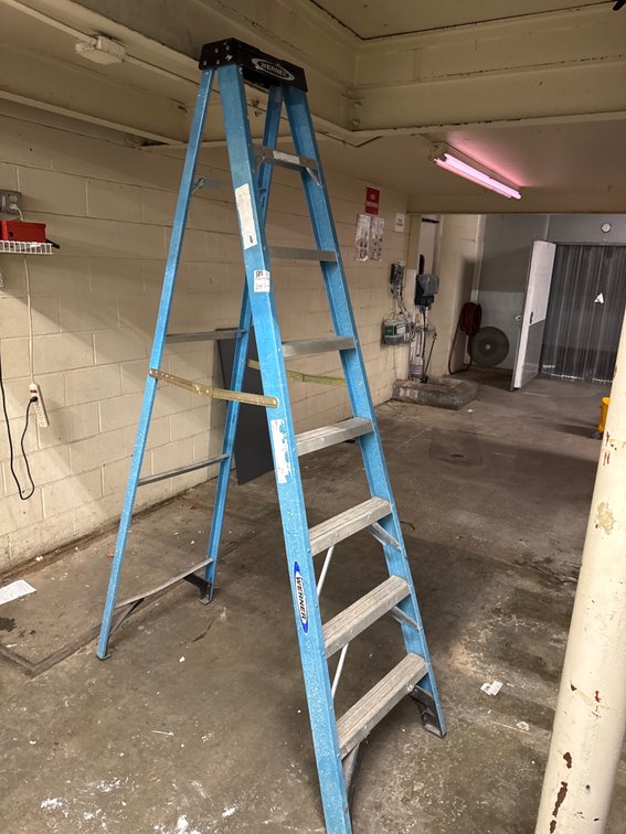 Warner 8-Foot Ladder