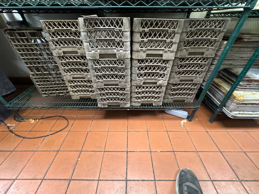 (13) Dish Racks - Glasses