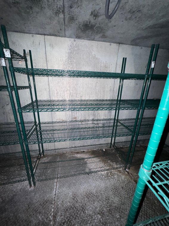 Four Tier Wire Shelf - Green