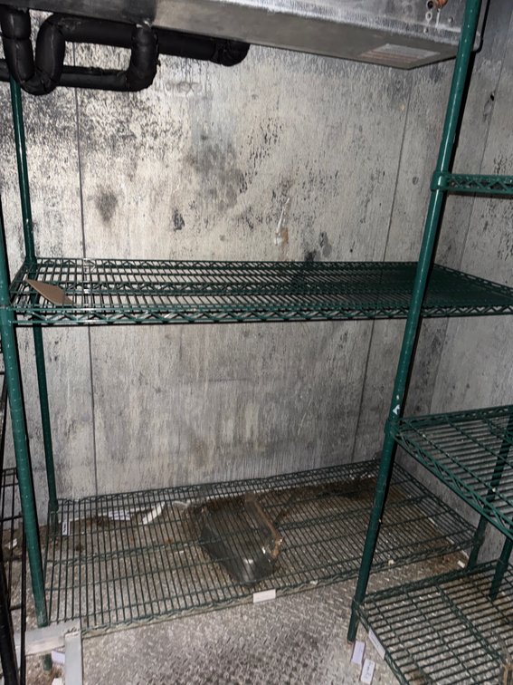 Two Tier Wire Shelf - Green