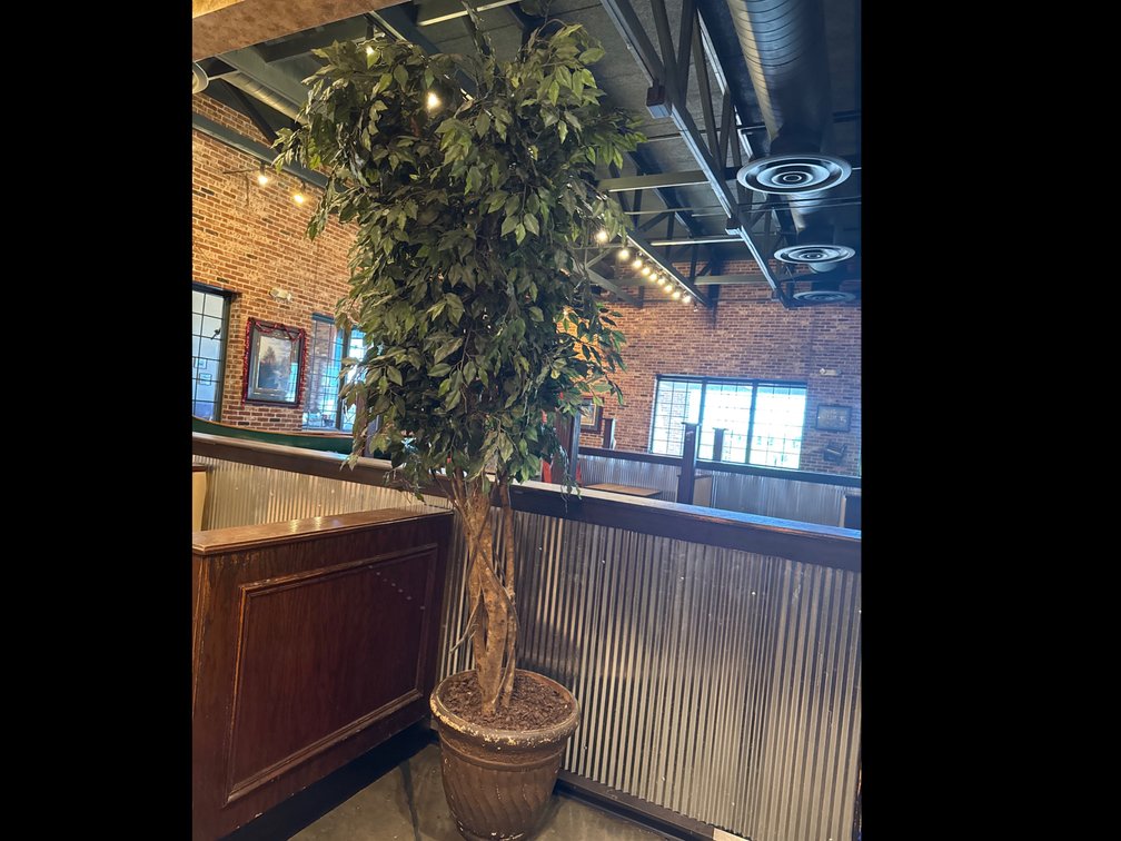 Artificial Ficus Tree in Decorative Planter