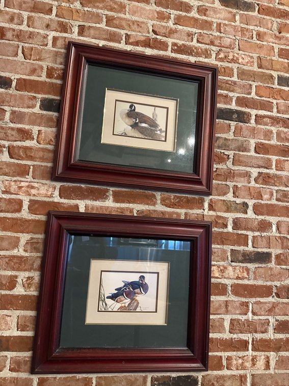 Pair of Framed Waterfowl Prints Canada Geese & Wood Ducks